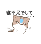 動く！毎日五月病なねこたち3（個別スタンプ：1）