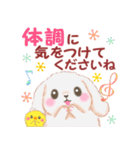 Babyうさぎさん「長文」（個別スタンプ：10）