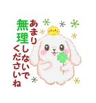 Babyうさぎさん「長文」（個別スタンプ：12）