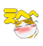 三毛猫のみーこ★どデカ文字 ポップに（個別スタンプ：13）