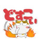三毛猫のみーこ★どデカ文字 ポップに（個別スタンプ：36）