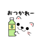 動く！メッセージと顔【ねこちゃん】夏（個別スタンプ：5）