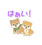 よちよち豆柴兄弟の毎日（個別スタンプ：1）