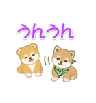 よちよち豆柴兄弟の毎日（個別スタンプ：6）