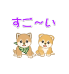 よちよち豆柴兄弟の毎日（個別スタンプ：11）