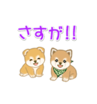 よちよち豆柴兄弟の毎日（個別スタンプ：12）
