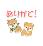 よちよち豆柴兄弟の毎日（個別スタンプ：17）