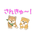 よちよち豆柴兄弟の毎日（個別スタンプ：18）