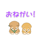 よちよち豆柴兄弟の毎日（個別スタンプ：19）