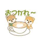 よちよち豆柴兄弟の毎日（個別スタンプ：25）