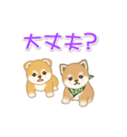 よちよち豆柴兄弟の毎日（個別スタンプ：27）