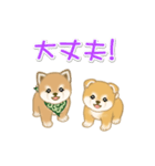 よちよち豆柴兄弟の毎日（個別スタンプ：28）