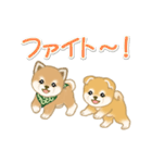 よちよち豆柴兄弟の毎日（個別スタンプ：29）