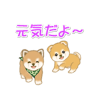 よちよち豆柴兄弟の毎日（個別スタンプ：31）