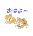 よちよち豆柴兄弟の毎日（個別スタンプ：33）
