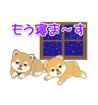 よちよち豆柴兄弟の毎日（個別スタンプ：36）