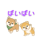 よちよち豆柴兄弟の毎日（個別スタンプ：38）