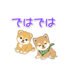 よちよち豆柴兄弟の毎日（個別スタンプ：40）