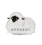 よひつじの森（個別スタンプ：4）