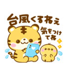 夏♡とらさん（個別スタンプ：29）