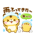 夏♡とらさん（個別スタンプ：31）