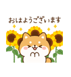 飛び出す！わんわんず2（夏）（個別スタンプ：1）