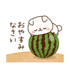 飛び出す！わんわんず2（夏）（個別スタンプ：2）