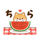 飛び出す！わんわんず2（夏）（個別スタンプ：11）