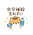 飛び出す！わんわんず2（夏）（個別スタンプ：14）