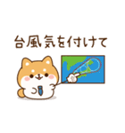 飛び出す！わんわんず2（夏）（個別スタンプ：20）
