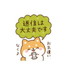 飛び出す！わんわんず2（夏）（個別スタンプ：23）
