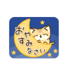 飛び出す！スナネコのスタンプ（個別スタンプ：3）