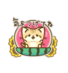 飛び出す！スナネコのスタンプ（個別スタンプ：20）