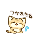 飛び出す！スナネコのスタンプ（個別スタンプ：22）