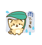 飛び出す！スナネコのスタンプ（個別スタンプ：24）