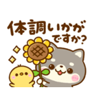 飛び出す♡夏の豆柴日和（個別スタンプ：2）
