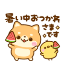 飛び出す♡夏の豆柴日和（個別スタンプ：3）