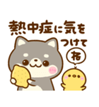 飛び出す♡夏の豆柴日和（個別スタンプ：4）