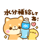 飛び出す♡夏の豆柴日和（個別スタンプ：6）