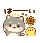飛び出す♡夏の豆柴日和（個別スタンプ：10）