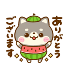 飛び出す♡夏の豆柴日和（個別スタンプ：13）