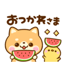 飛び出す♡夏の豆柴日和（個別スタンプ：14）