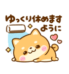 飛び出す♡夏の豆柴日和（個別スタンプ：16）