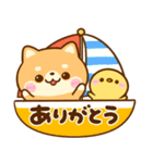 飛び出す♡夏の豆柴日和（個別スタンプ：17）