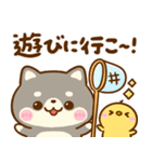飛び出す♡夏の豆柴日和（個別スタンプ：20）