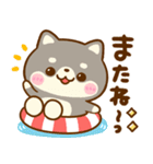 飛び出す♡夏の豆柴日和（個別スタンプ：23）