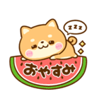 飛び出す♡夏の豆柴日和（個別スタンプ：24）