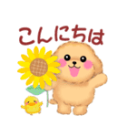 かわいいトイプードル❤️夏（個別スタンプ：3）