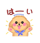かわいいトイプードル❤️夏（個別スタンプ：6）