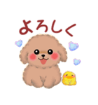 かわいいトイプードル❤️夏（個別スタンプ：11）